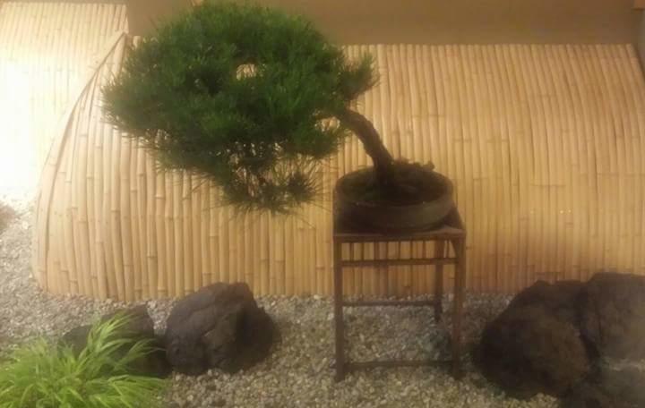 Akakura Onsen Hotel Korakuso Myoko Esterno foto